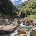 A small boulder-filled mountain stream in a valley with forested sides.