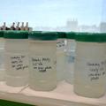 Clean Suite Reagents