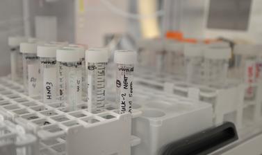 ICP Samples in Test Tubes