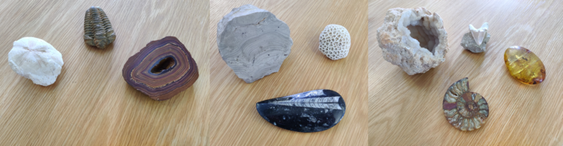 Ten rocks from the Fossil or Not a Fossil activity